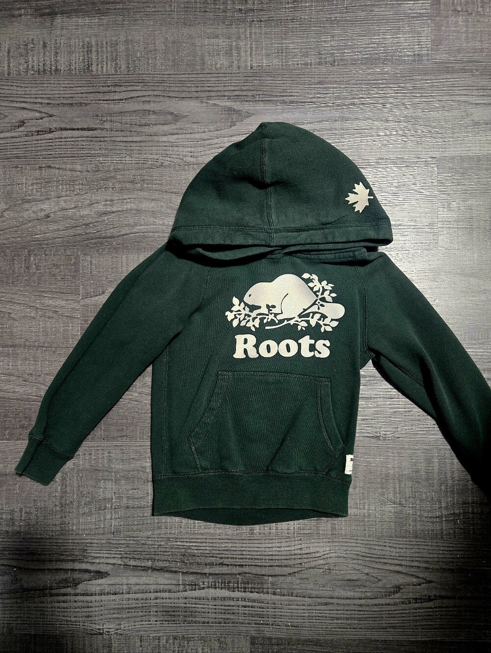 Roots Cabin Hoodie